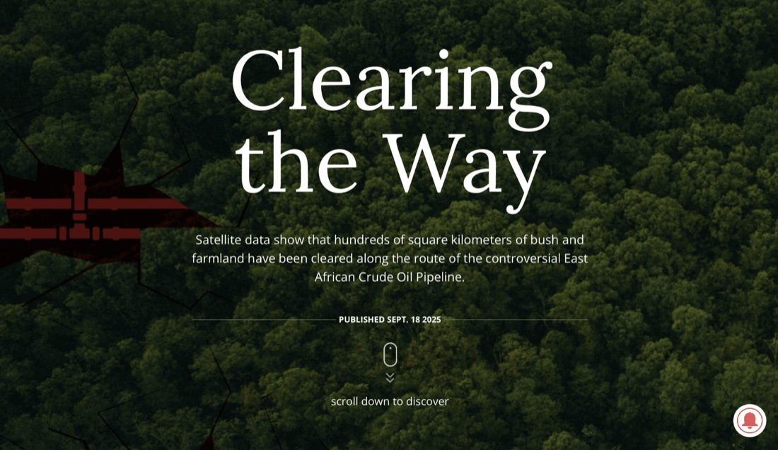 Opening screen of “Clearing the Way”, over a forest photograph.