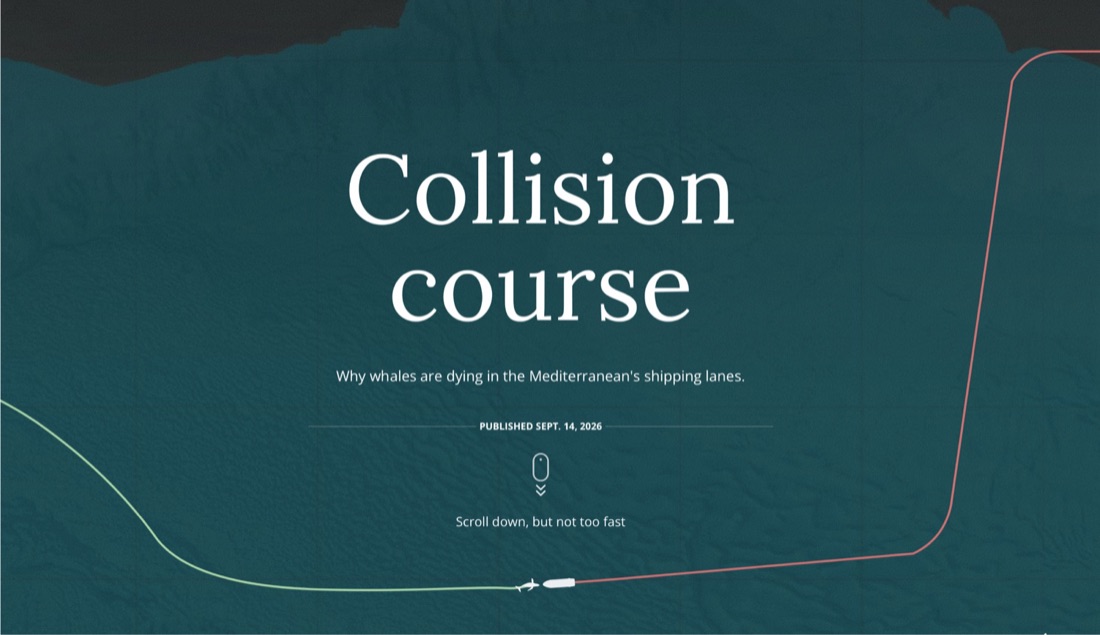 Opening screen of “Collision course”: a ship and a whale on converging tracks in the Mediterranean.