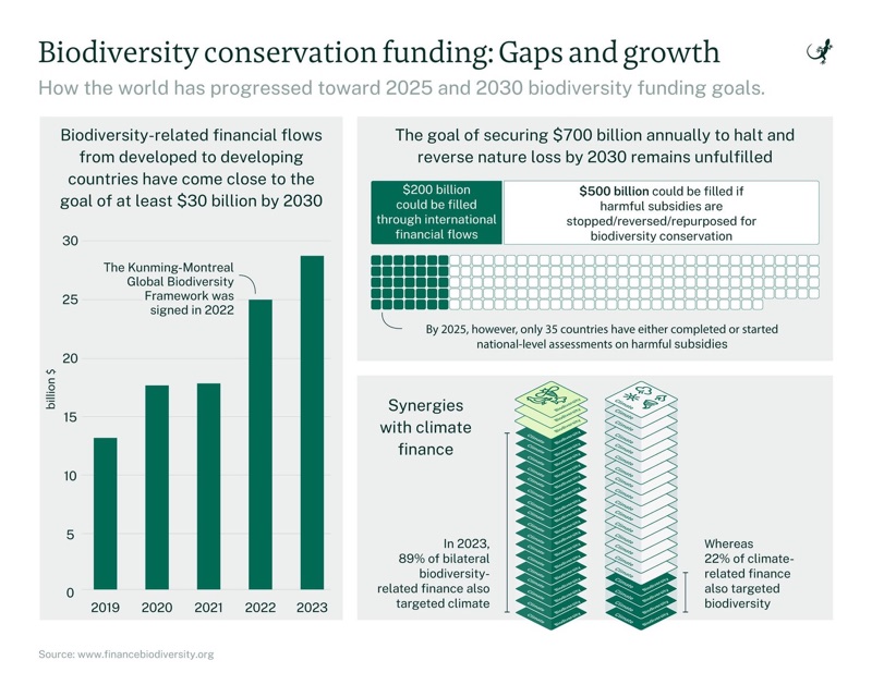 Chart of biodiversity conservation funding: progress toward the $30 billion goal of the Kunming-Montreal Global Biodiversity Framework, and the gaps that remain on other targets.