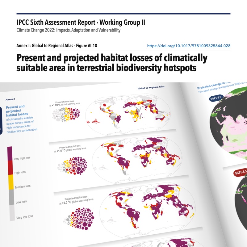 Open printed spread of Annex I, the Global to Regional Atlas, of the IPCC Working Group II report, Climate Change 2022, with Figure AI.10 on the left page: world maps and circle clusters of habitat loss across the 143 terrestrial biodiversity hotspots at today's warming, 1.5 °C and 2 °C, from very low to very high loss. The facing page, with Figure AI.11, is partly in view.