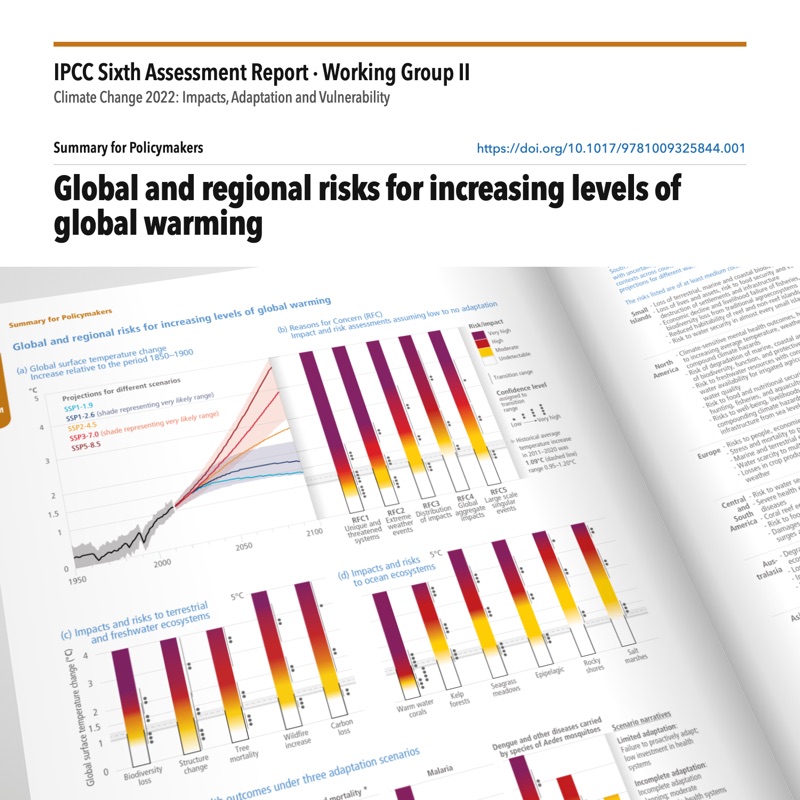 Open printed spread of the Summary for Policymakers of the IPCC Working Group II report, Climate Change 2022, with the facing page partly in view and, on the left page, the figure 'Global and regional risks for increasing levels of global warming': projected warming to 2100 under five emissions scenarios beside burning-ember bars of rising risk for the Reasons for Concern, ecosystems and health.