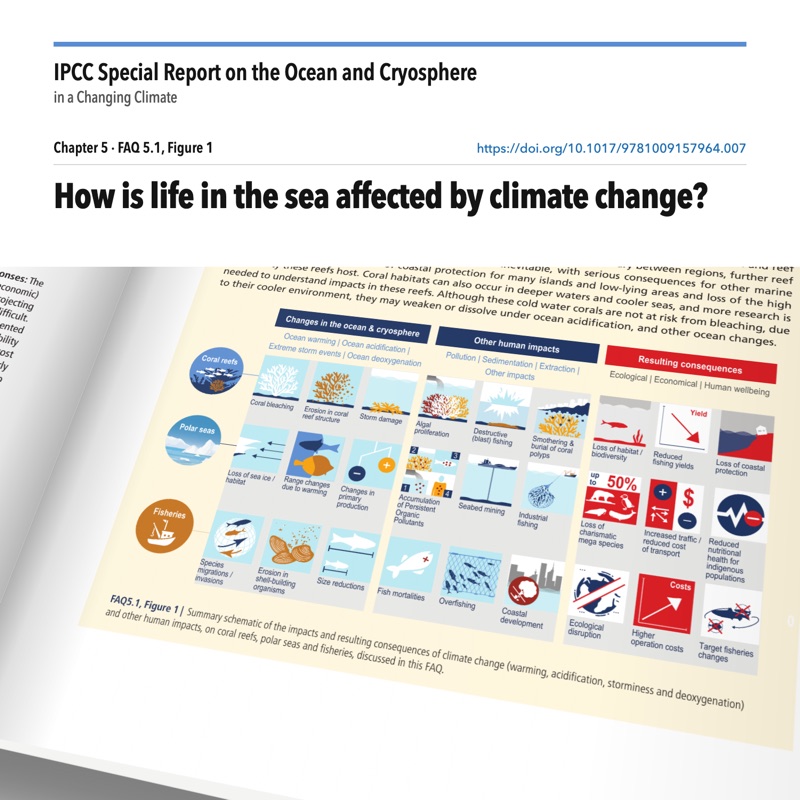 Open printed spread of Chapter 5 of the IPCC Special Report on the Ocean and Cryosphere, with FAQ 5.1, Figure 1 on the right page: a grid of icons summarising how ocean warming, acidification, storms, deoxygenation and other human impacts affect coral reefs, polar seas and fisheries, and the ecological, economic and wellbeing consequences. The facing page is partly in view.