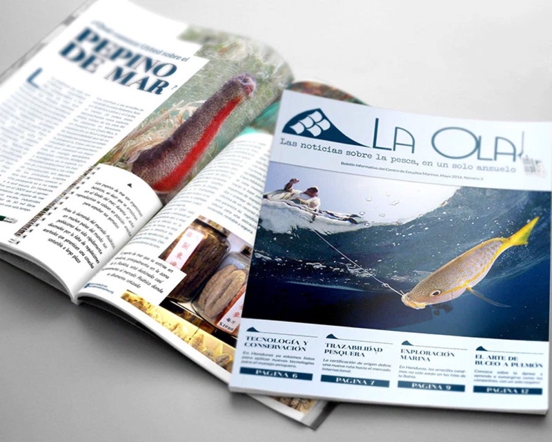 An open magazine showing articles about fisheries and underwater exploration, with the cover page titled "LA OLA" featuring an underwater photo of a fishing scene and a fish.