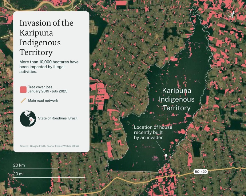 Map of the Karipuna Indigenous Territory in Rondônia, Brazil, showing tree cover loss from January 2019 to July 2025 in pink, main road network in yellow, and a house recently built by an invader marked with a dot. The map indicates over 10,000 hectares impacted by illegal activities, with a scale of 20 km. The map source is Google Earth and Global Forest Watch.